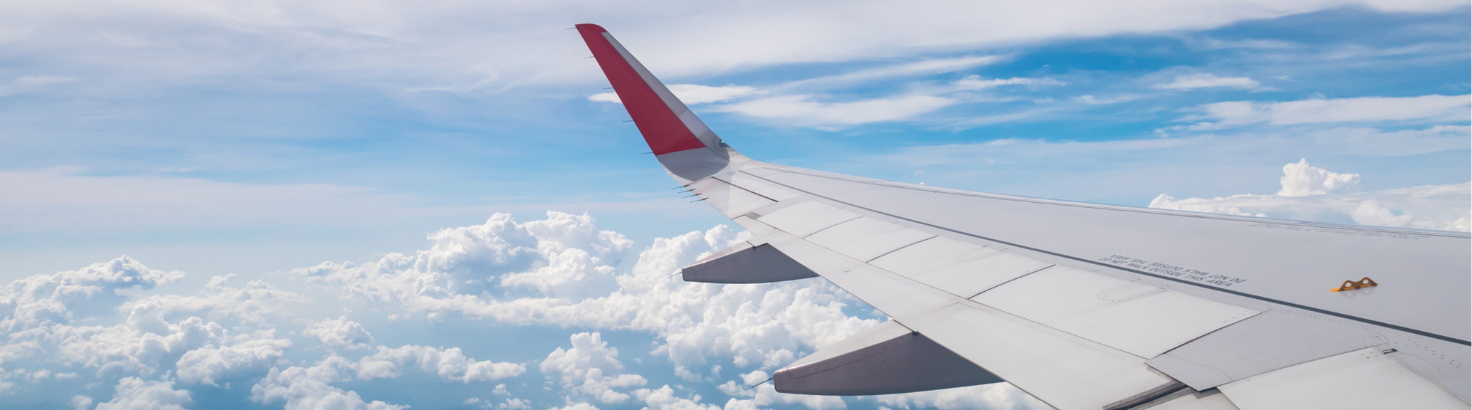 Daily Flight Options